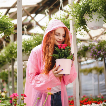 المنزل والبستنة