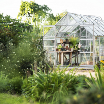 المنزل والبستنة