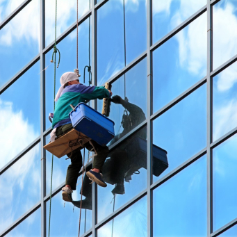 Cleaning & Organization